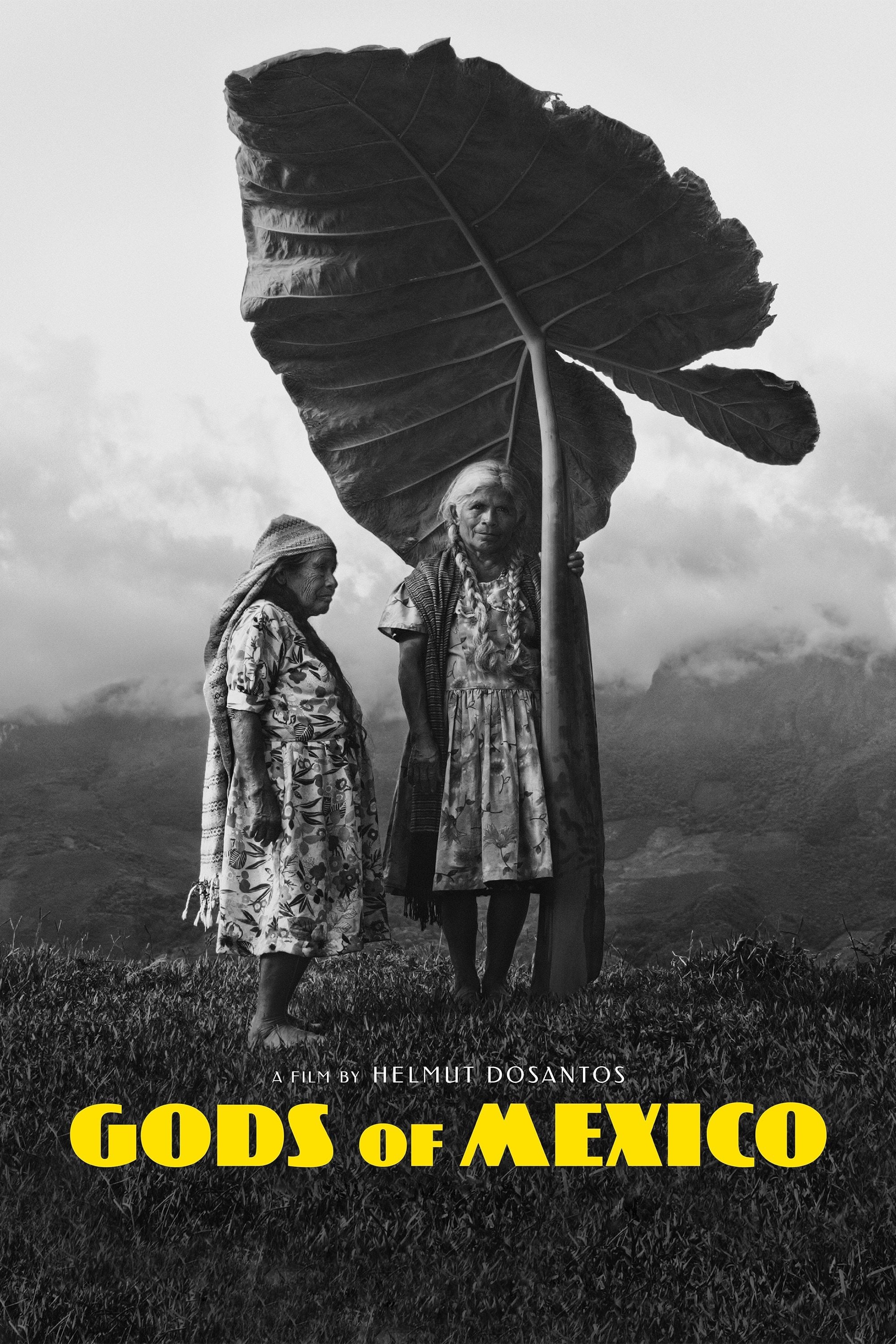 Gods of Mexico - Helmut Dosantos · 2022