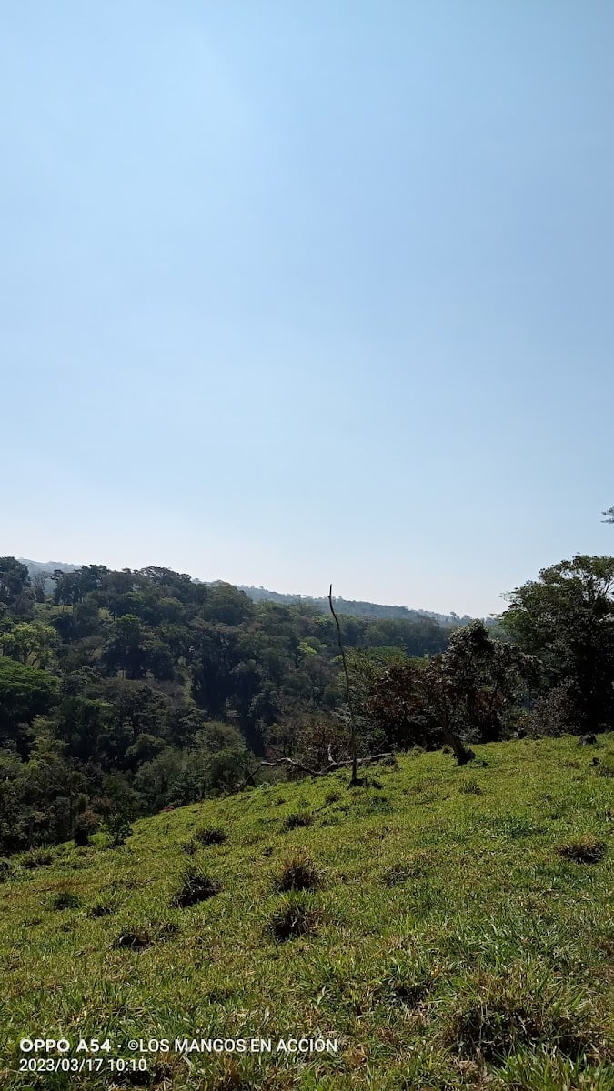 Reserva de la Biosfera de Los Tuxtlas - Park · Veracruz
