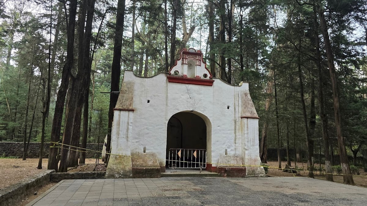 Desierto de los Leones National Park - National Park · Mexico City