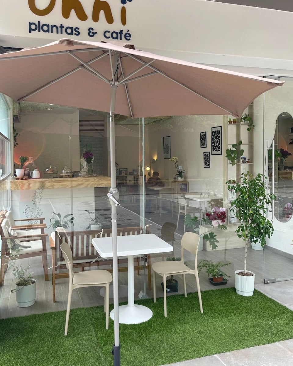 Ohni plantas y café
