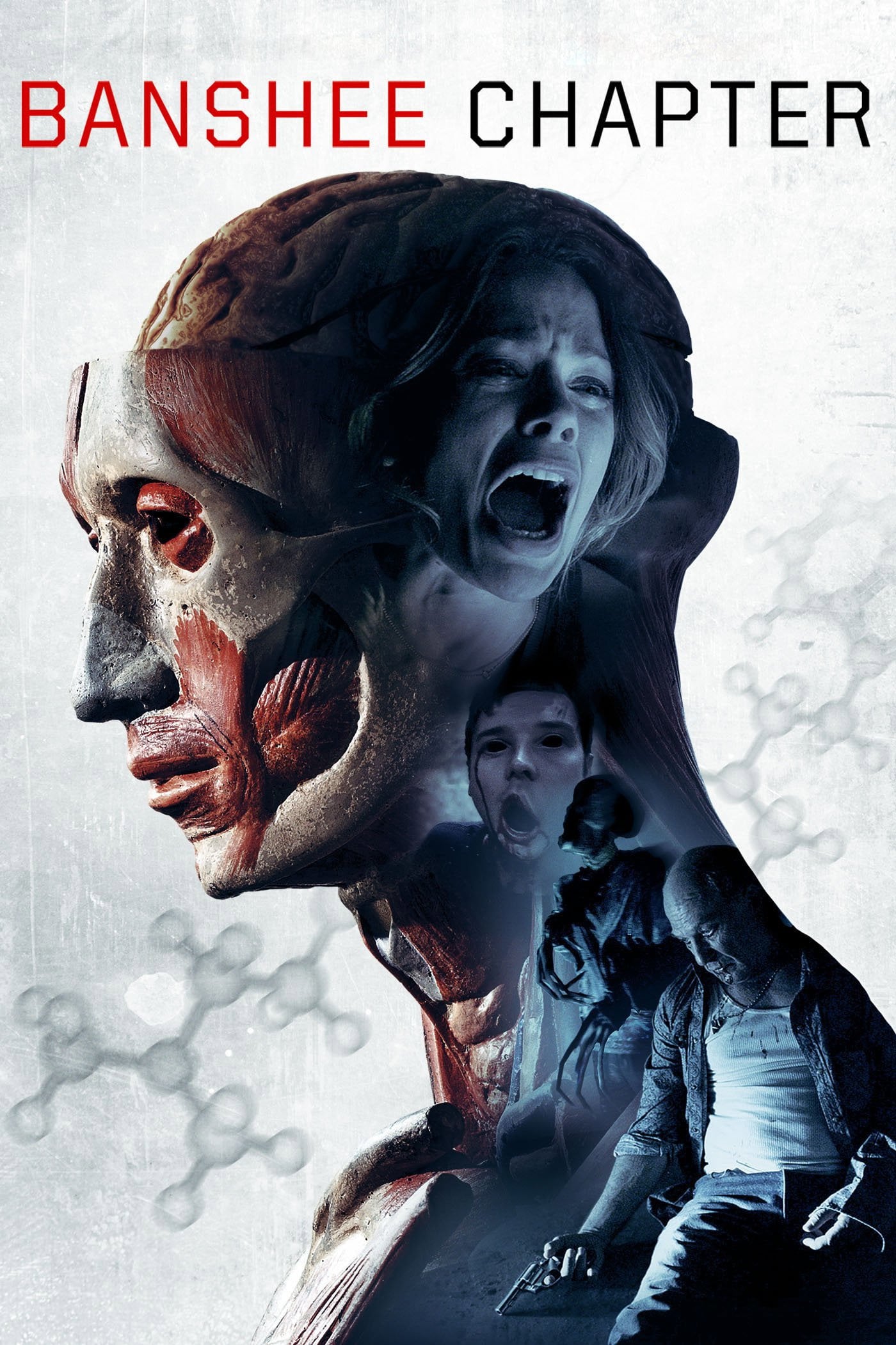 Banshee Chapter - Blair Erickson · 2013