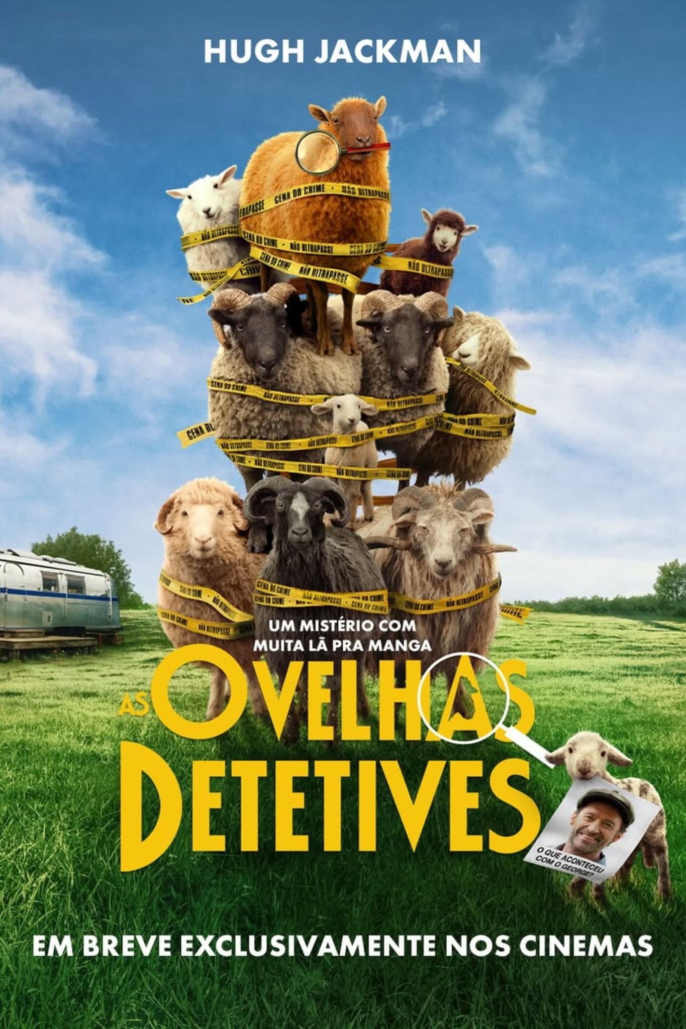 As Ovelhas Detetives - 2026