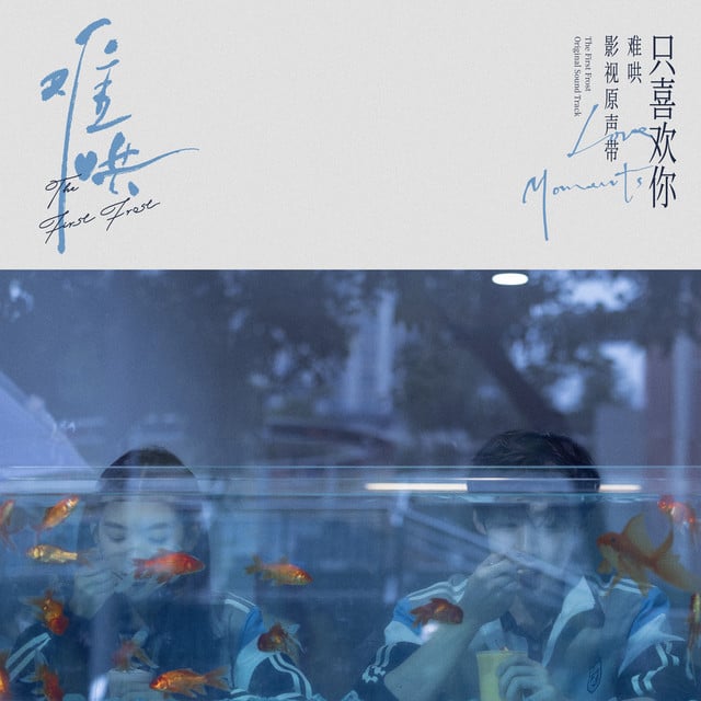 像晴天像雨天(电视剧《难哄》心动曲) - Song · Silence Wang