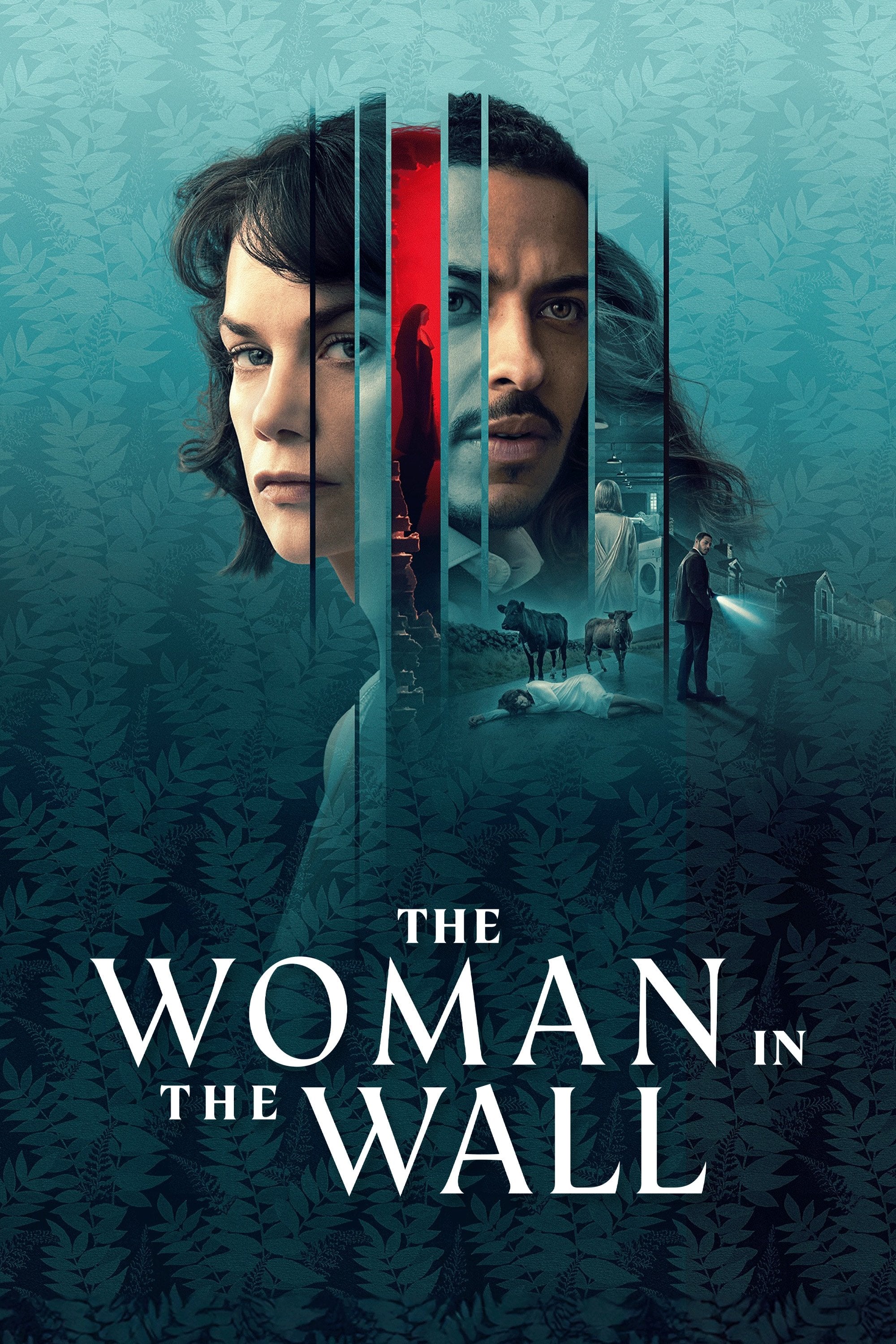 The Woman in the Wall - Joe Murtagh · 2023