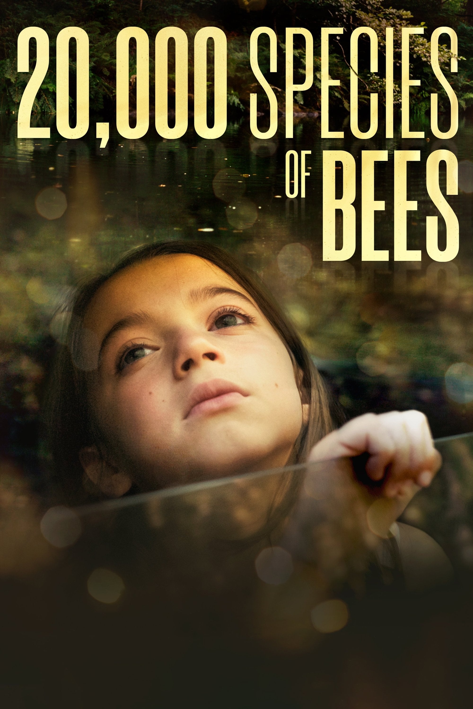 20,000 Species of Bees - Estibaliz Urresola Solaguren · 2023
