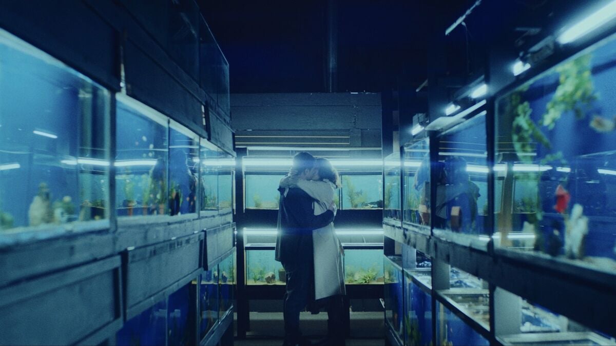 Little Fish (2020) - Letterboxd