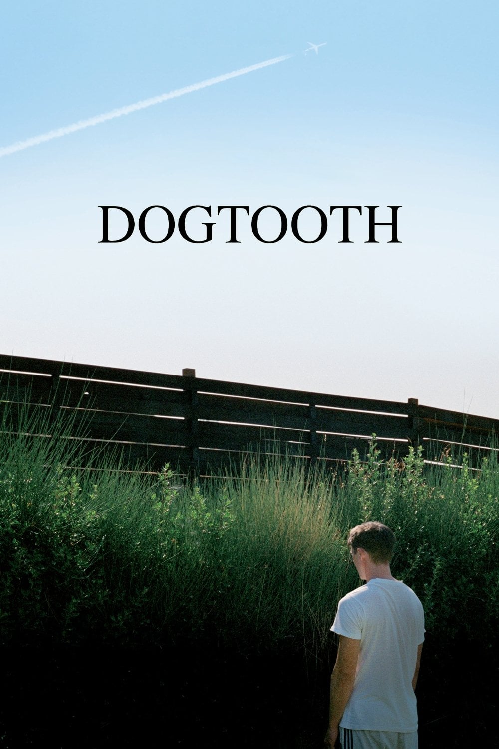 Dogtooth - Yorgos Lanthimos · 2009
