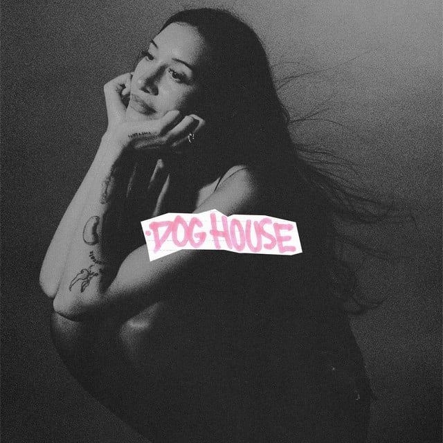 DOG HOUSE - Song · Drake, Julia Wolf, Yeat