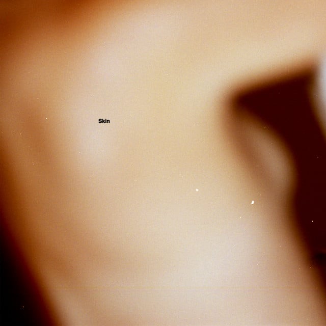 Skin - Song · Dijon