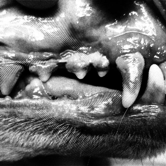 Face Made of Sand - Song · Viuta