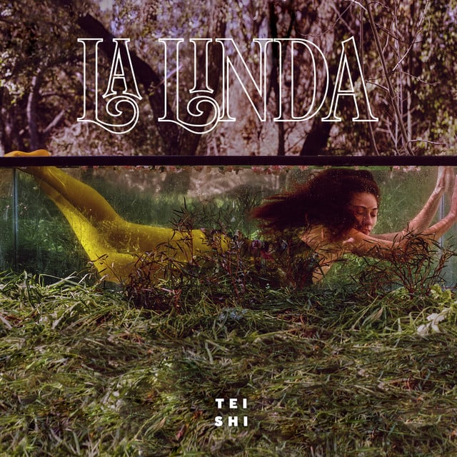 Even If It Hurts - Song · Tei Shi, Blood Orange