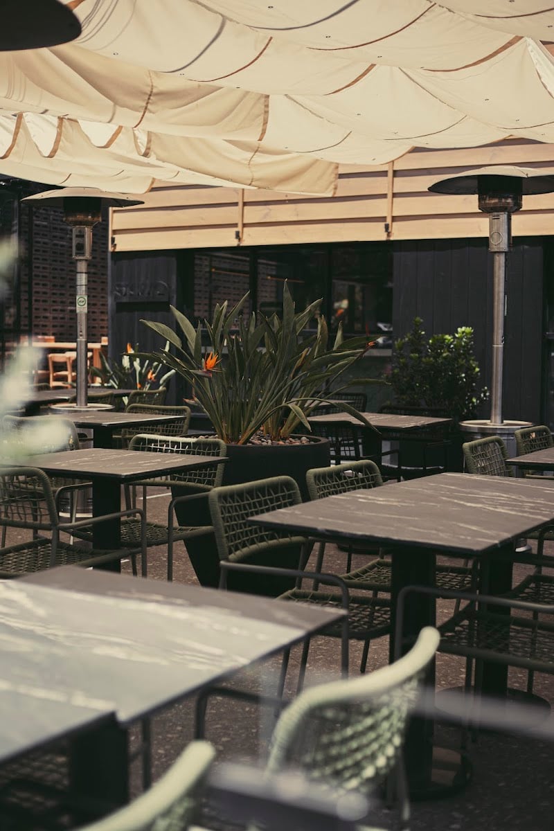 Savia Bar CL