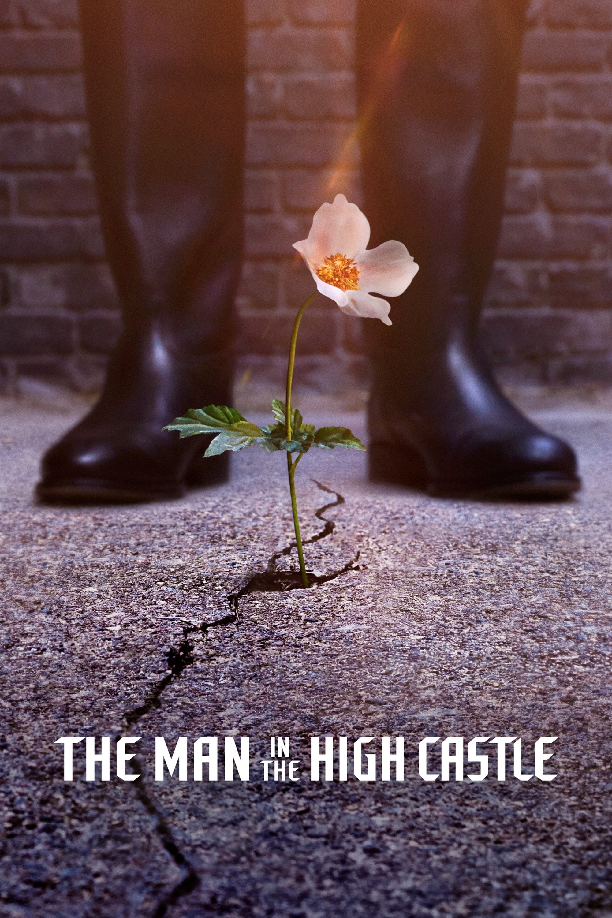 The Man in the High Castle - Frank Spotnitz · 2015