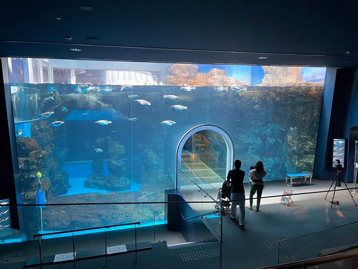 海響館