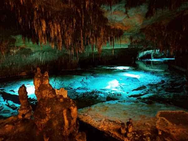 Cuevas del Drach - Bus 401