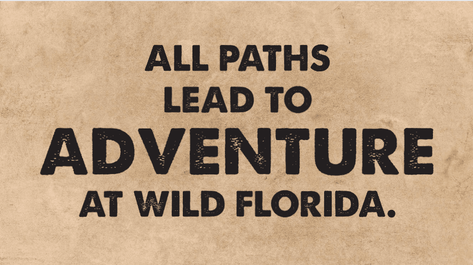 Wild Florida Drive-thru Safari Park