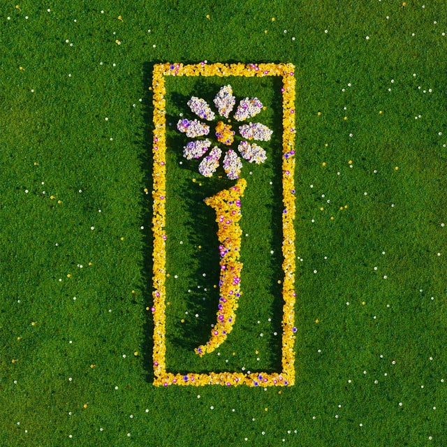 James - Artist