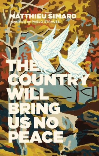 The Country Will Bring Us No Peace - Matthieu Simard · 2019