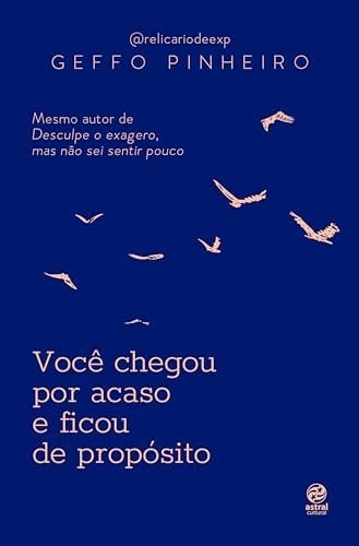 VOCÊ CHEGOU POR ACASO E FICOU DE PROPÓSITO - Geffo Pinheiro • 2024