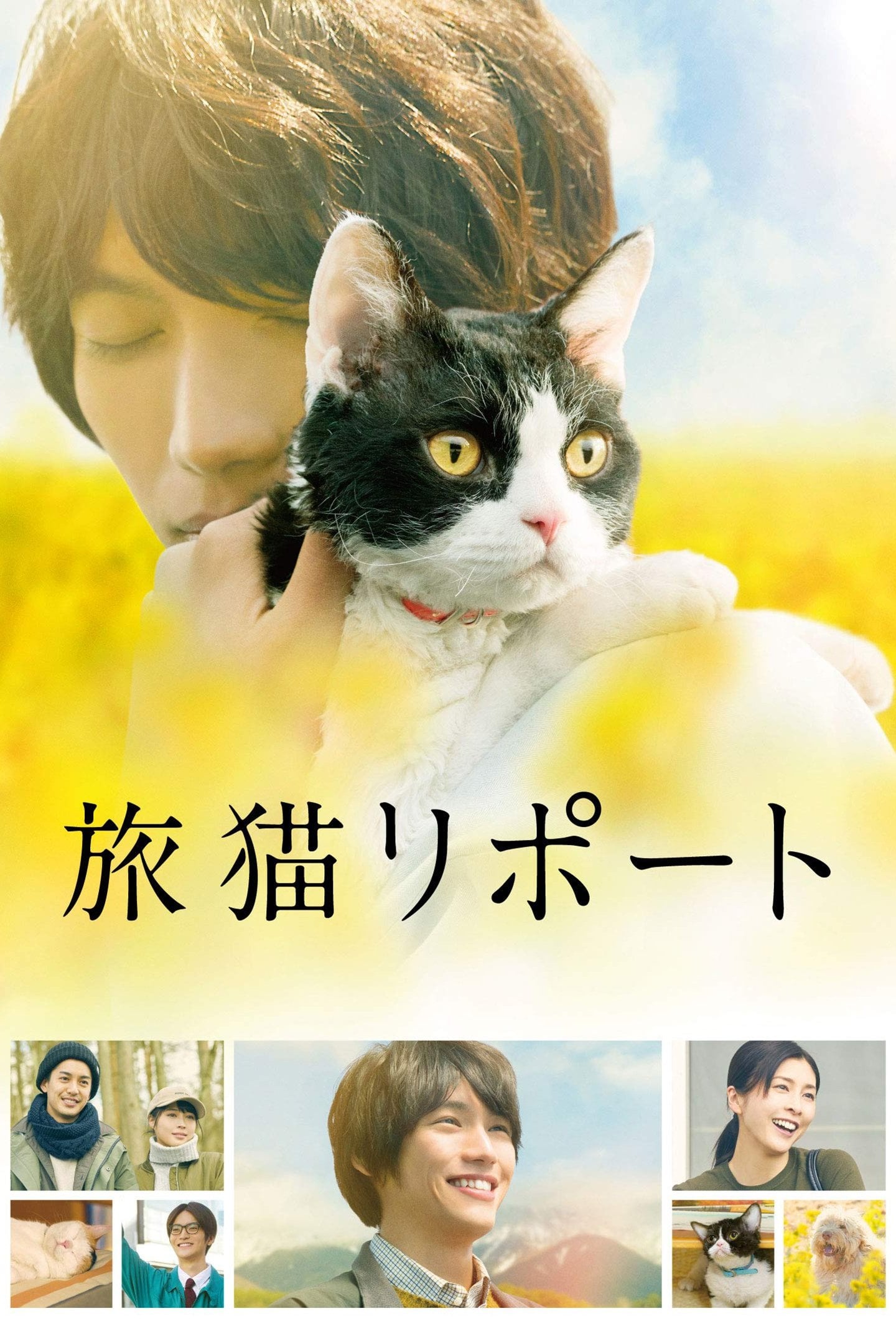 The Travelling Cat Chronicles - Kōichirō Miki · 2018