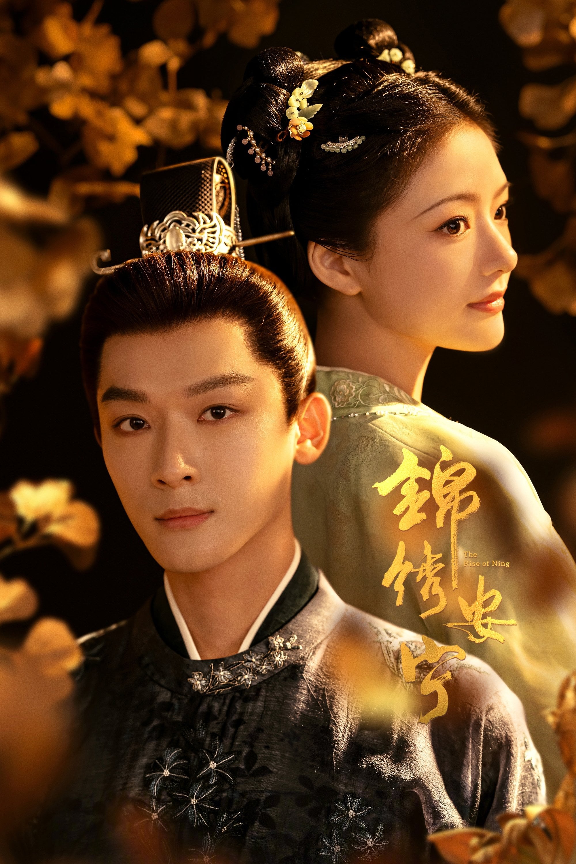 The Rise of Ning - · 2024