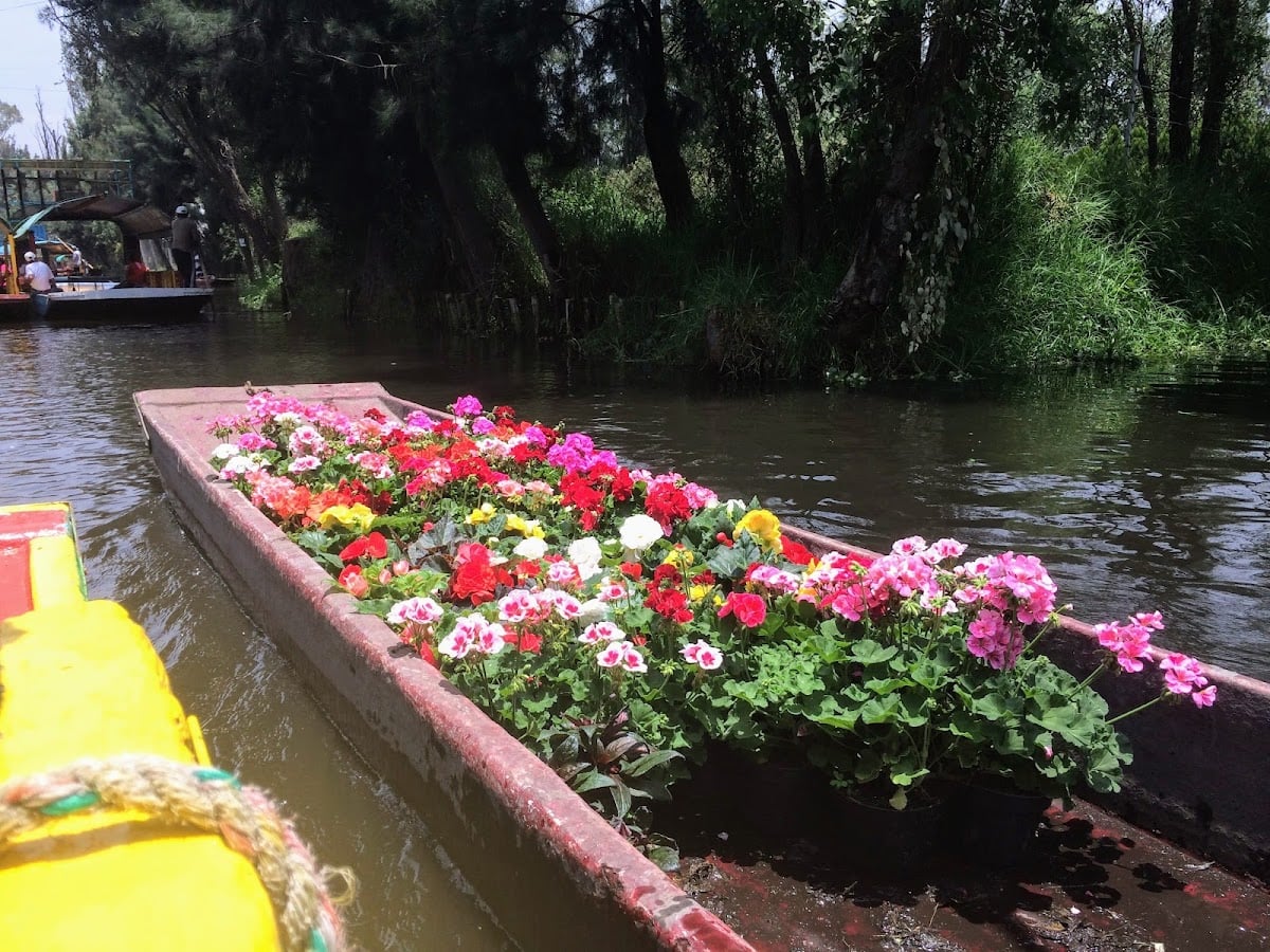 Xochimilco - Simplemente hermoso <3
