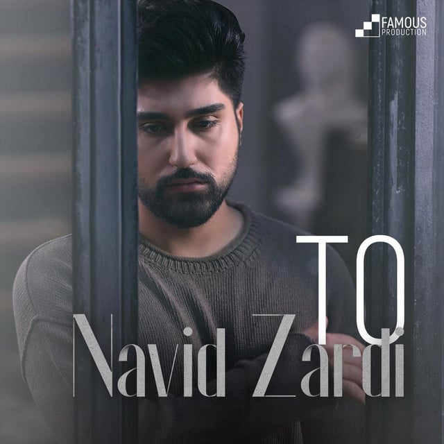 Bayanit Bash - Song · Navid Zardi