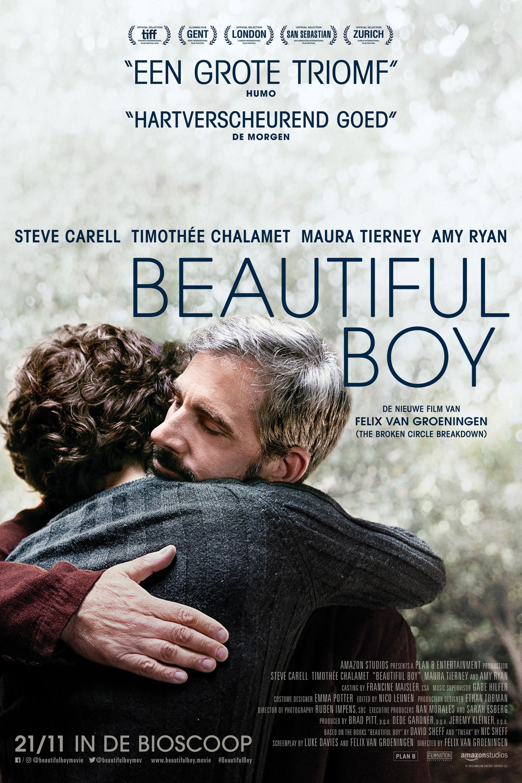 Beautiful Boy - Felix van Groeningen · 2018