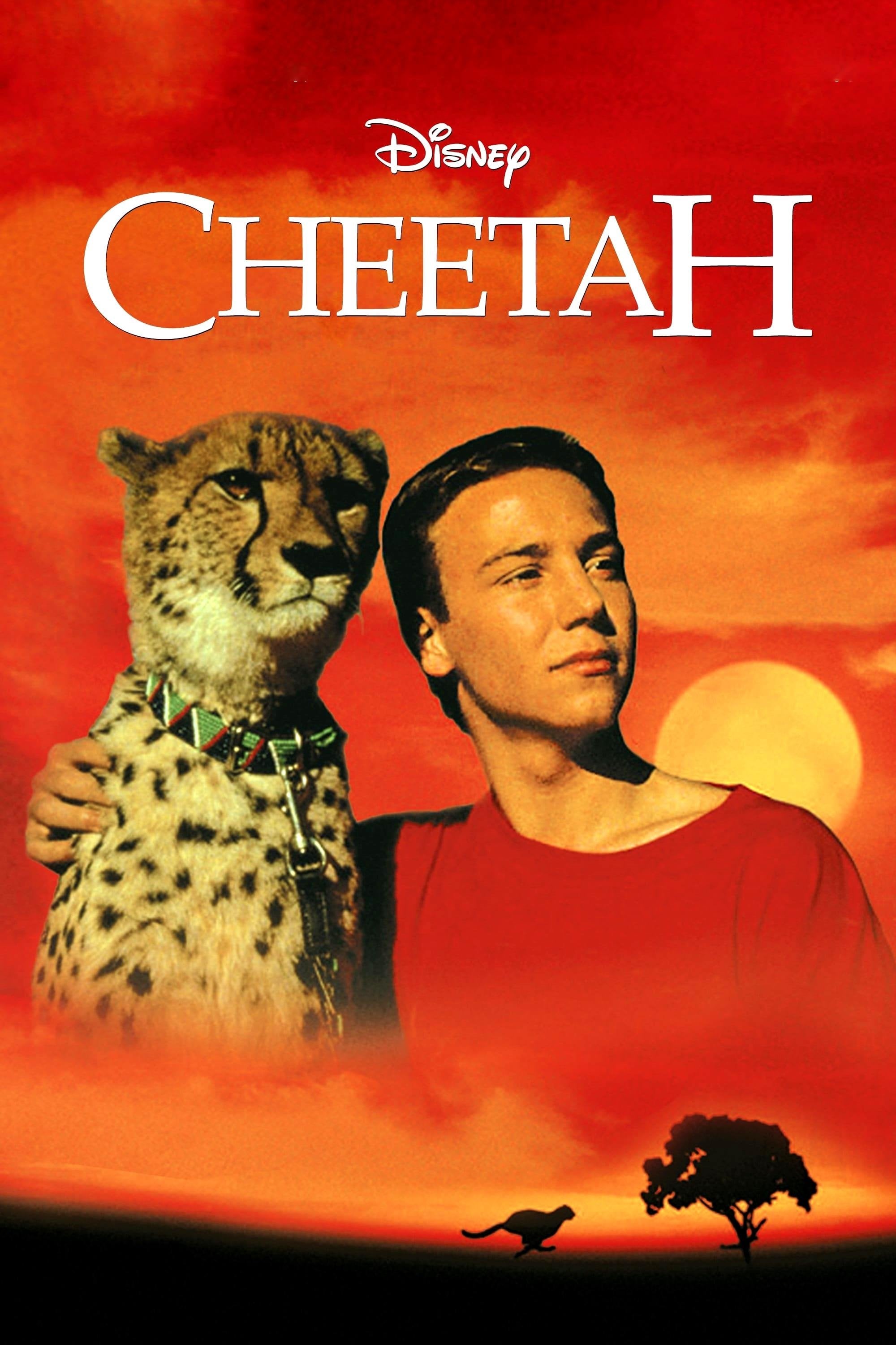 Cheetah - Jeff Blyth · 1989