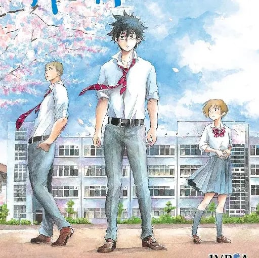 Ao no flag