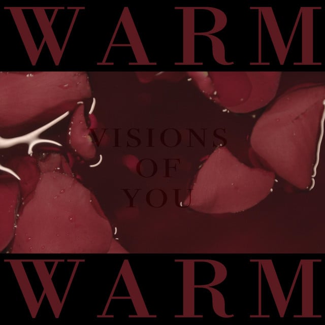 Visions of You - Song · Warm