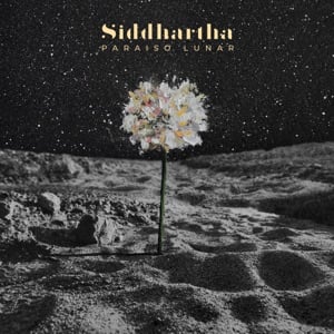 Paraíso Lunar - Track · Siddhartha