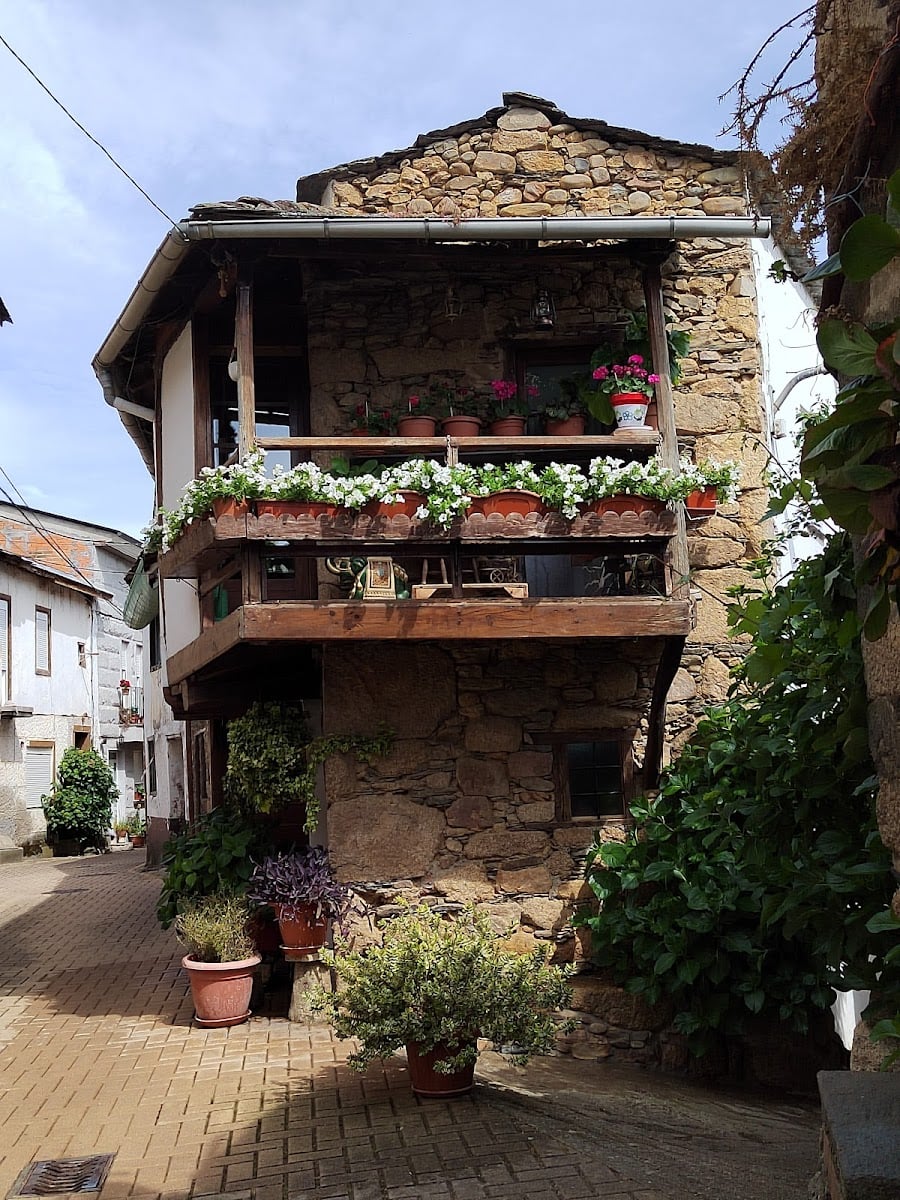 Petín