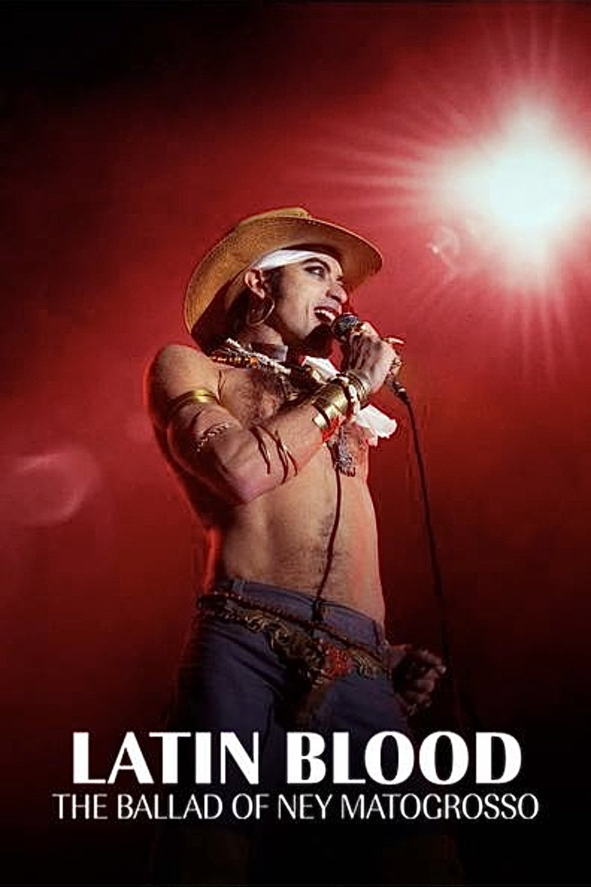 Latin Blood – The Ballad of Ney Matogrosso - Esmir Filho · 2025