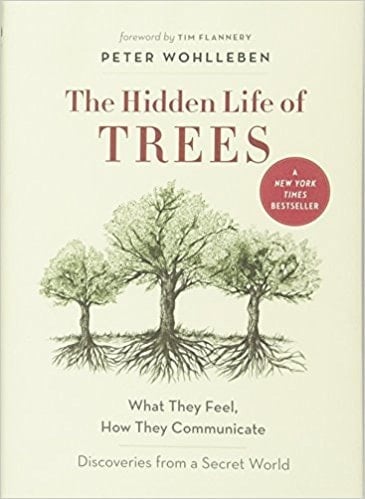 The Hidden Life of Trees What They Feel, how They Communicate : Discoveries from a Secret World - Peter Wohlleben · 2016