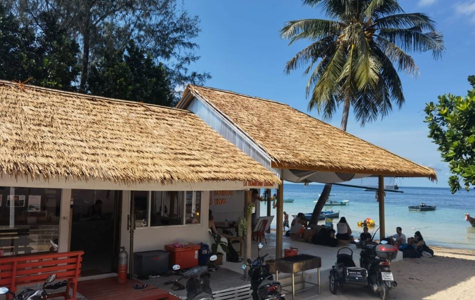 La Bombona Diving - Scuba Diving Center - Koh Tao - Thailand - 🤿 Buceo