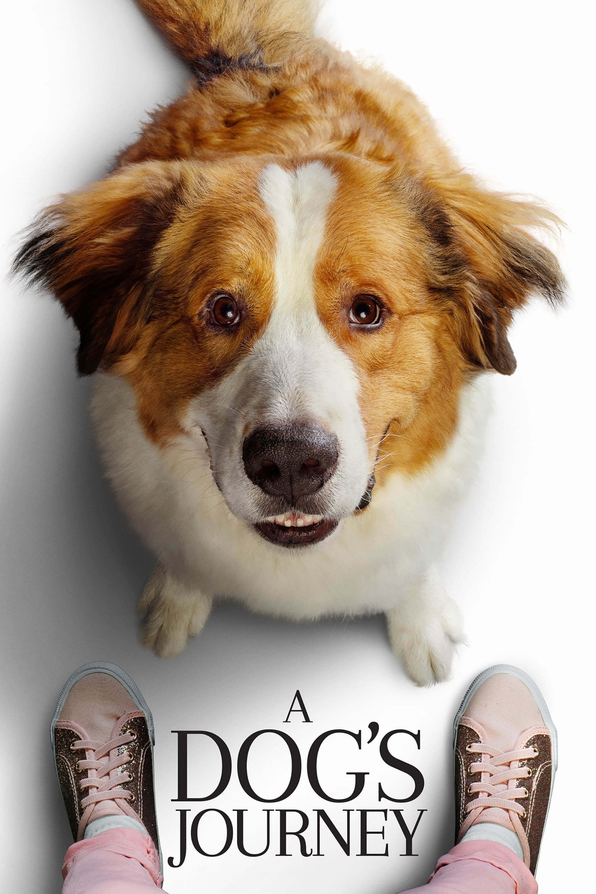 A Dog's Journey - Gail Mancuso · 2019