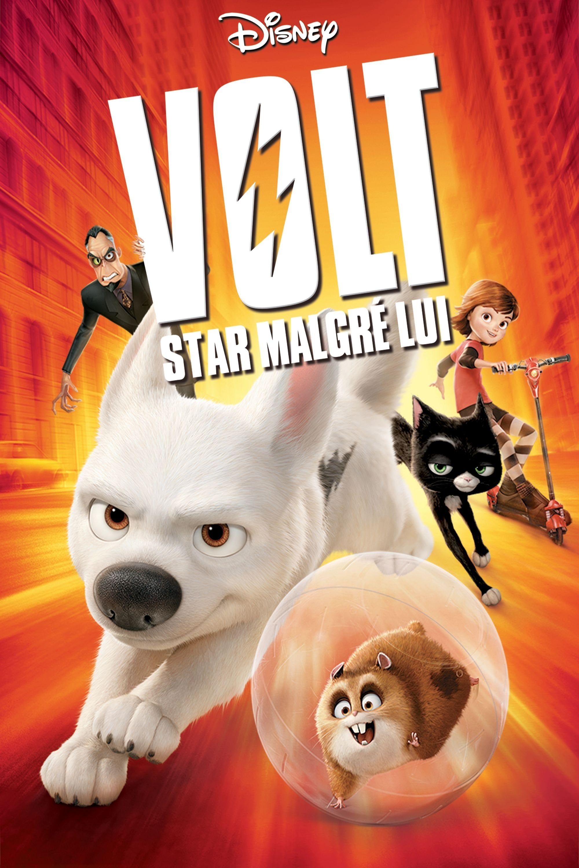 Volt, star malgré lui - Chris Williams · 2008