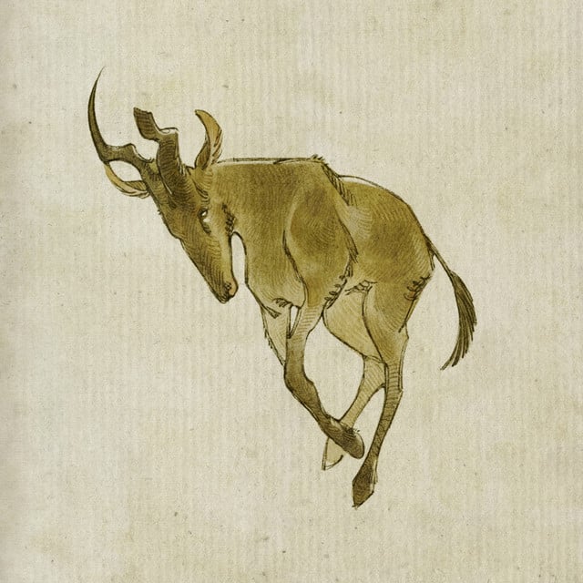 Hartebeest - Song · Yaelokre