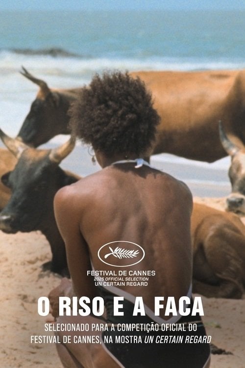 I Only Rest in the Storm - Pedro Pinho · 2025