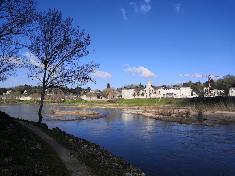 Parc municipal de l'île Simon - Park · Centre-Val de Loire, Tours