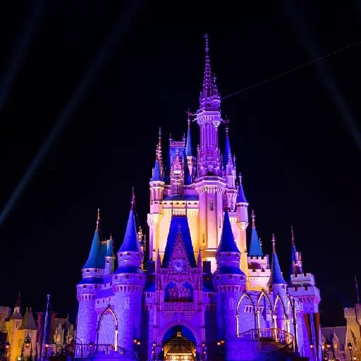 Disneyland Park