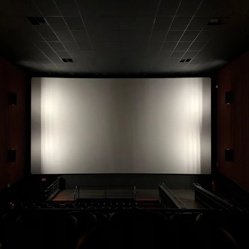 Regarder la télé (films & série)