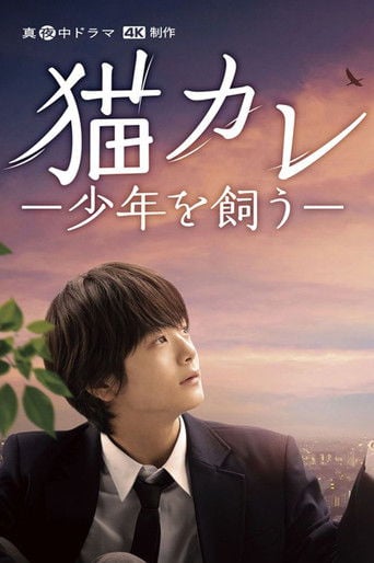 Taking in a Stray - Keita Meguro · 2023