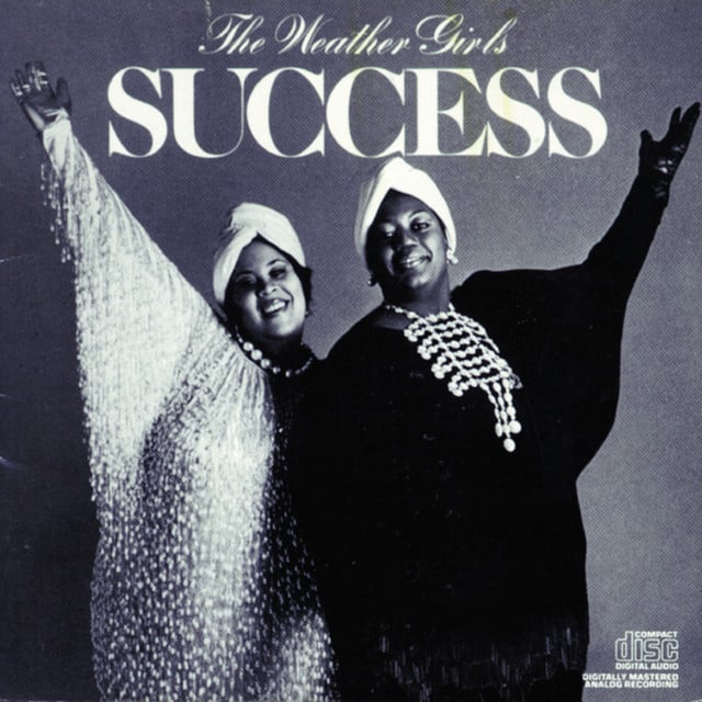It's Raining Men - Song · The Weather Girls