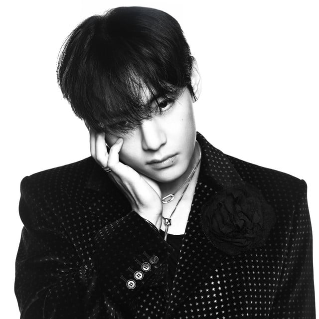 V - Artist