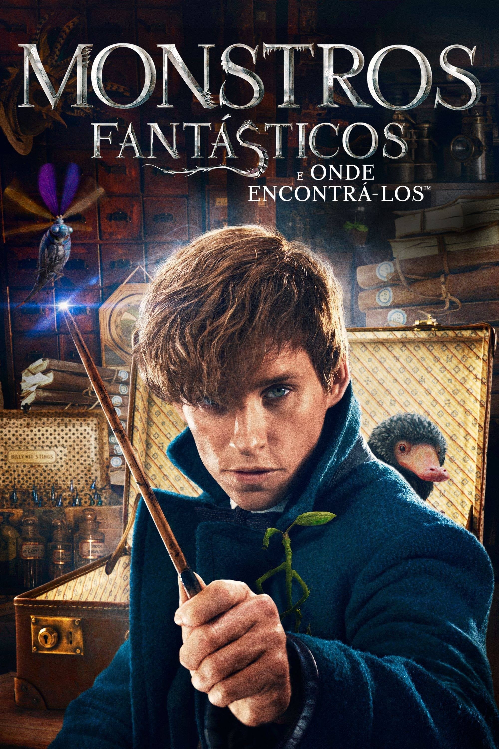 Animais Fantásticos e Onde Habitam - David Yates · 2016