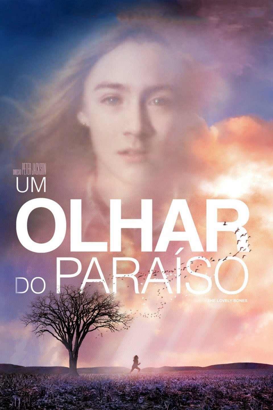 Um Olhar do Paraíso - Peter Jackson · 2009