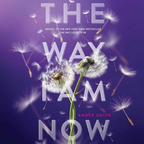 The Way I Am Now (The Way I Used to Be) (Way I Used to Be, 2) - Amber Smith · 2023