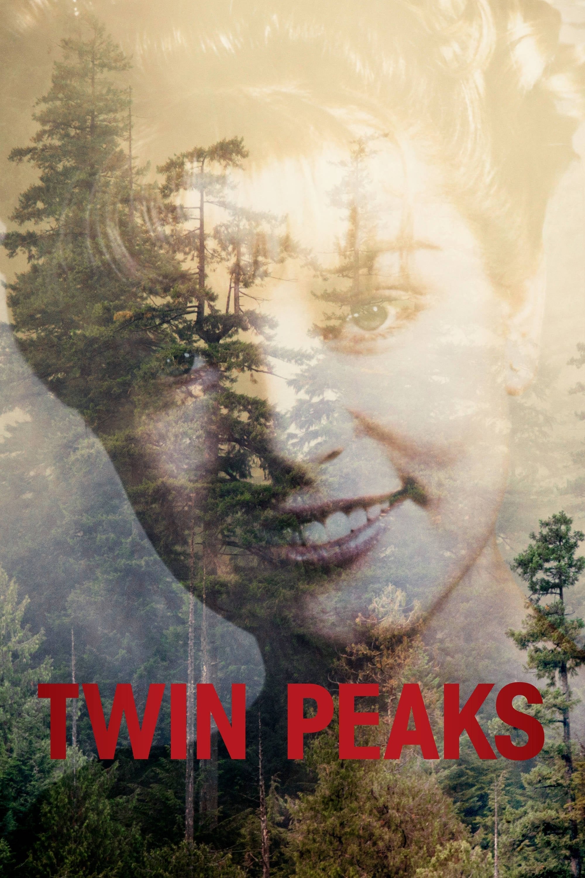 Twin Peaks - Mark Frost, David Lynch ยท 1990